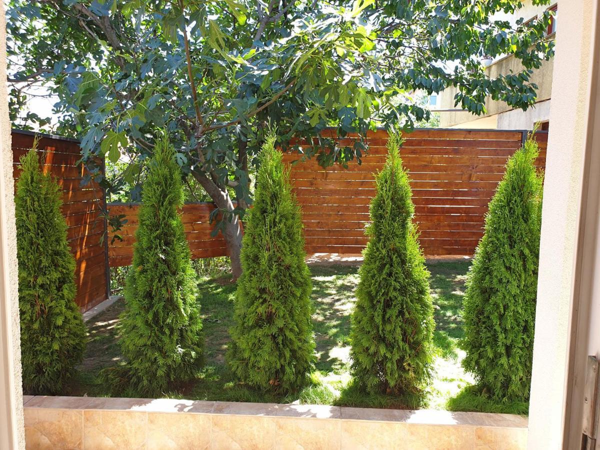 Kuca Ema Villa Belgrad Exteriör bild
