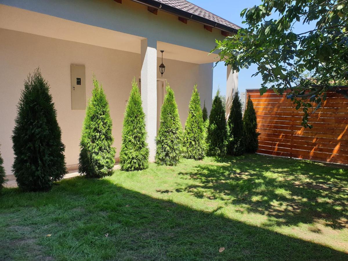 Kuca Ema Villa Belgrad Exteriör bild